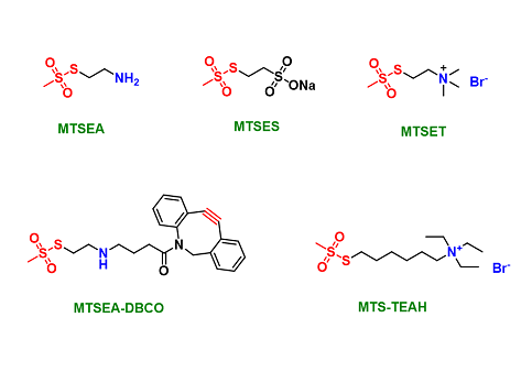 Charged MTS reagents